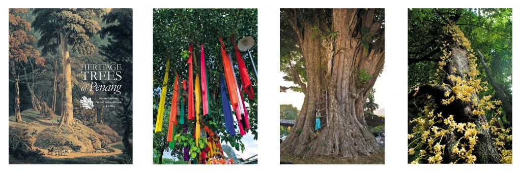 trees of penang 1